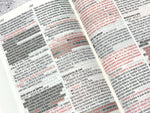 Santa Biblia de Promesas NVI, Tapa dura, Negra