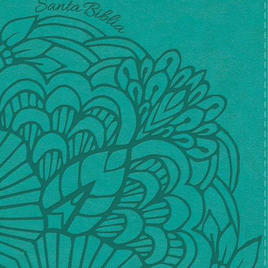 RVR 1960 Compact Bible Large Print Aqua, imitation leather