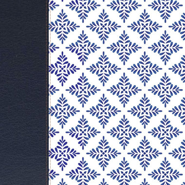NIV White and Blue Leatherette Notebook Bible