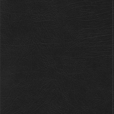RVR 1960 Rainbow Study Bible, black imitation leather