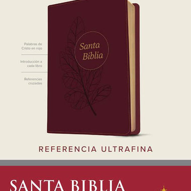 Holy Bible RVR60, Ultra-Thin Reference Edition, Large Print